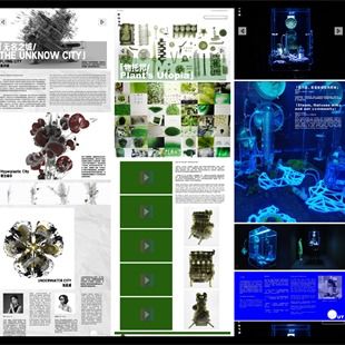 cafa展览丨多维视角检视人类问题 2020 危机时刻的策展