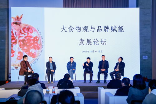 北京设计与艺术博览会今日盛大启幕,焕美京城初冬