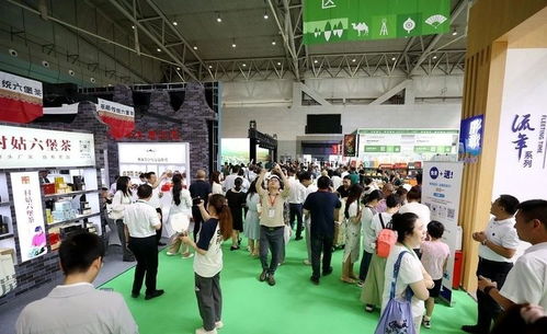 2024新疆国际茶文化博览会 读懂茶香里的文化自信